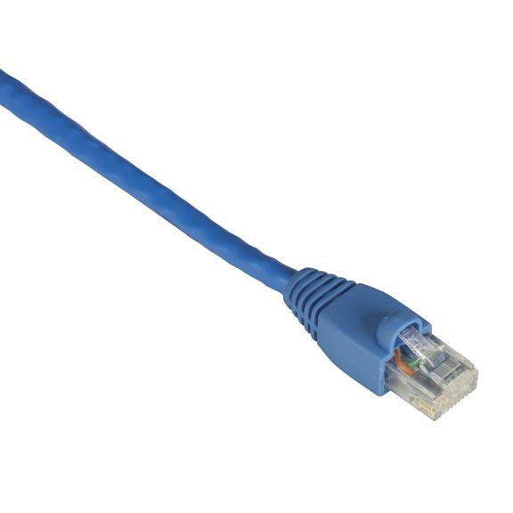 Black Box GigaTrue CAT6 UTP 0.3 M Networking Cable Blue U/UTP (UTP)