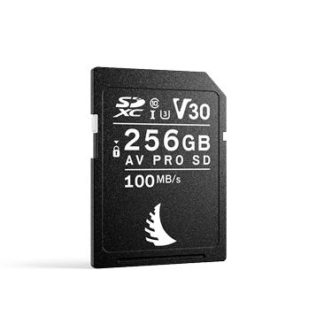 AV Pro SD Card V30 - 256GB