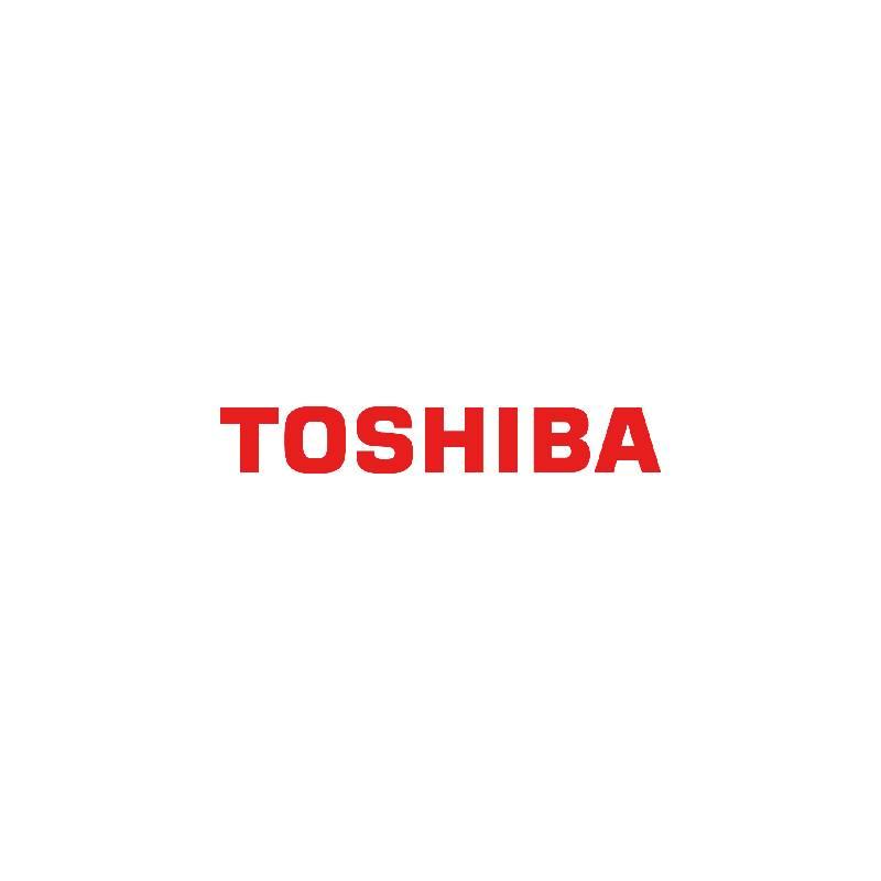 Toshiba 4TB N300 512MB Internal HDD Bulk