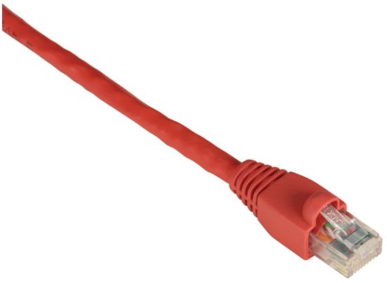 Black Box 3m Cat6 UTP 550 MHz Networking Cable Red U/UTP (UTP)