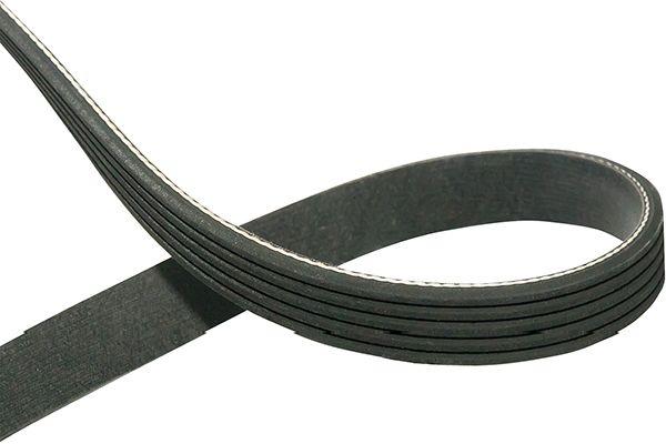 V-Ribbed Belts DMV-1003 Kavo Parts