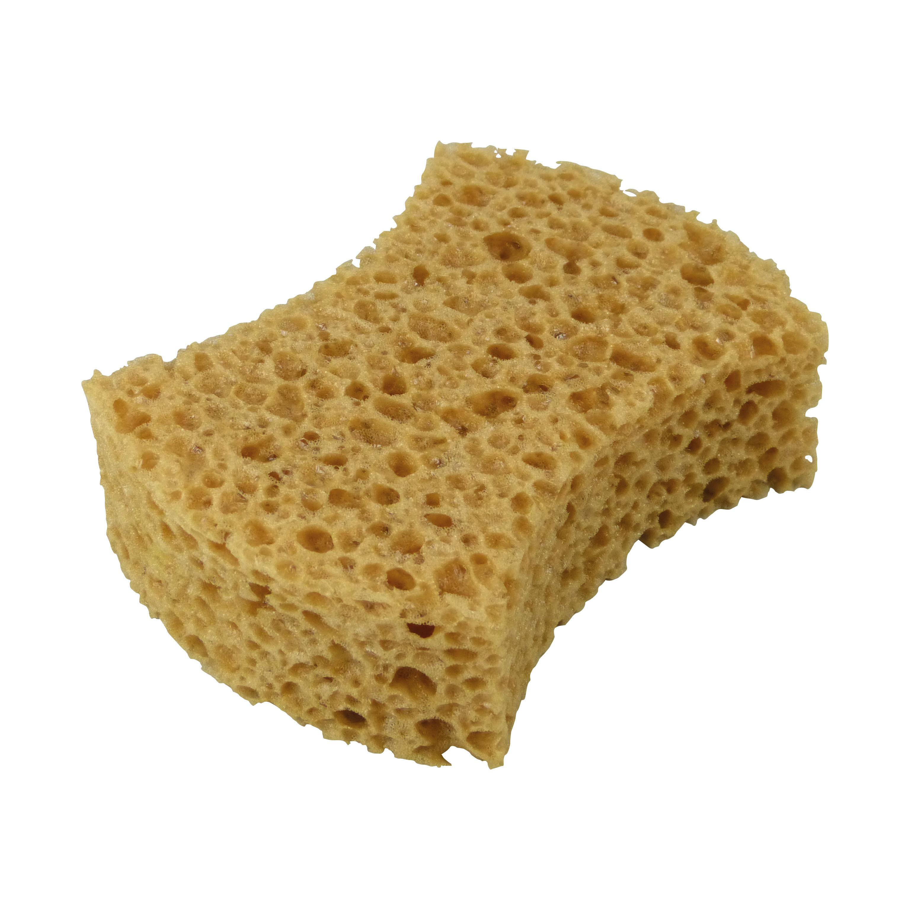 Protecton sponge 'Extra strong'