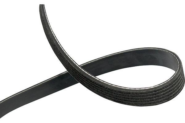 V-Ribbed Belts DMV-1044 Kavo Parts