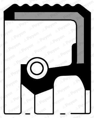 Shaft Seal, crankshaft NA581 Payen