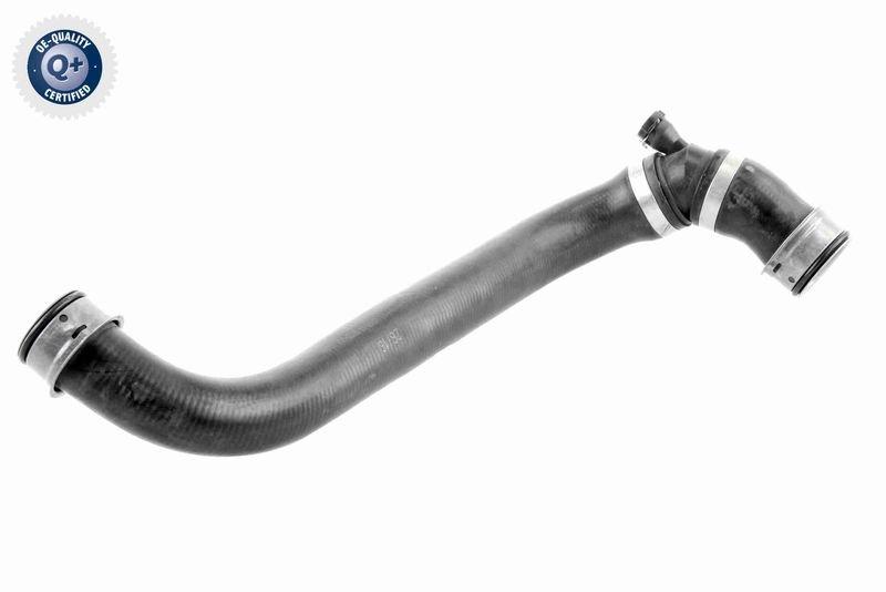 Radiator Hose Q+, original equipment manufacturer quality