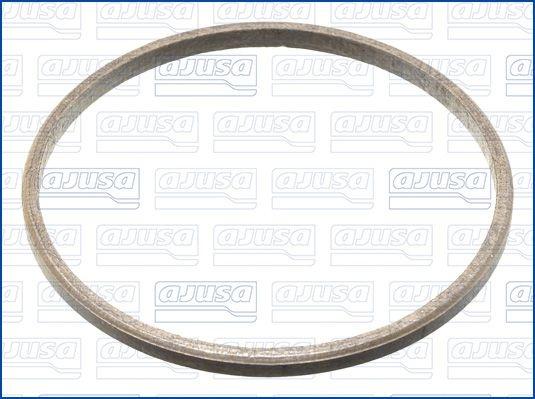 Sealing ring, Exhaust Pipe