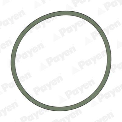 Gasket, Intake Manifold JD5228 Payen