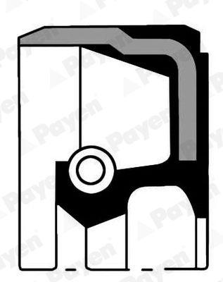 Shaft Seal, crankshaft NB788 Payen