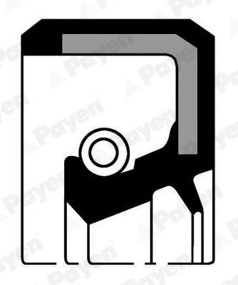 Shaft Seal, crankshaft NB774 Payen