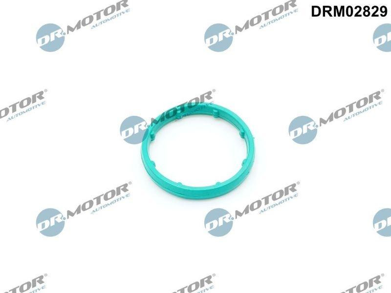 Gasket, oil cooler