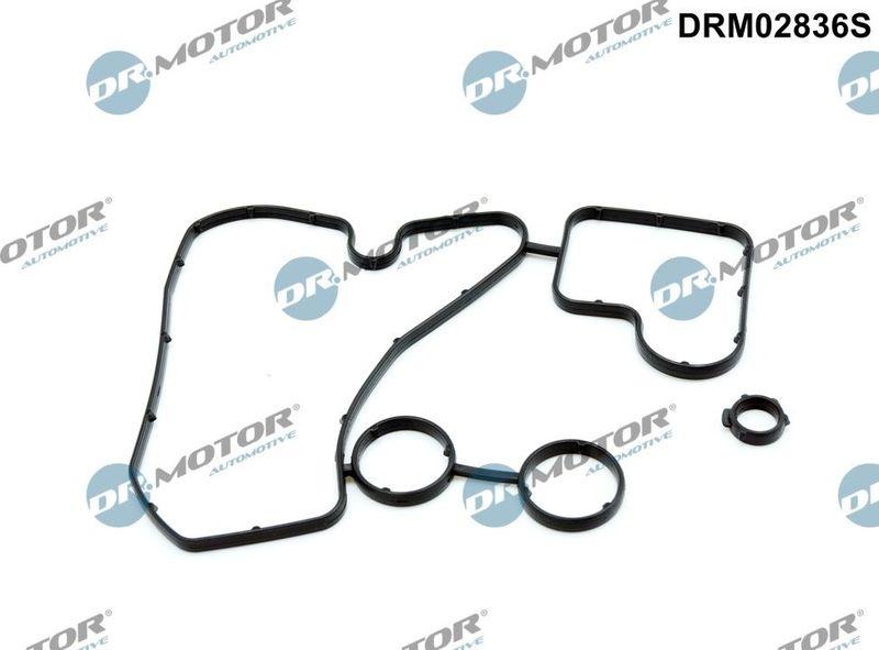 Gasket, oil cooler