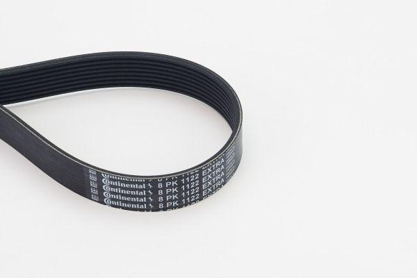 V-Ribbed Belt 8PK1122 EXTRA Contitech