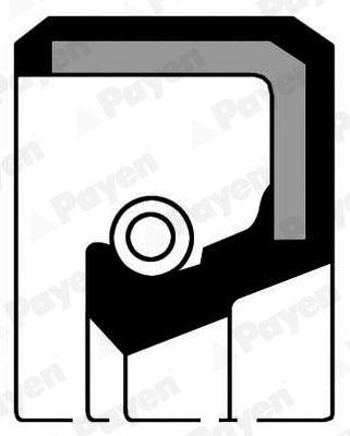 Shaft Seal, crankshaft NA784 Payen