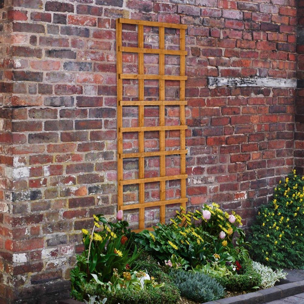 Heavy Duty Trellis: 4 Sizes