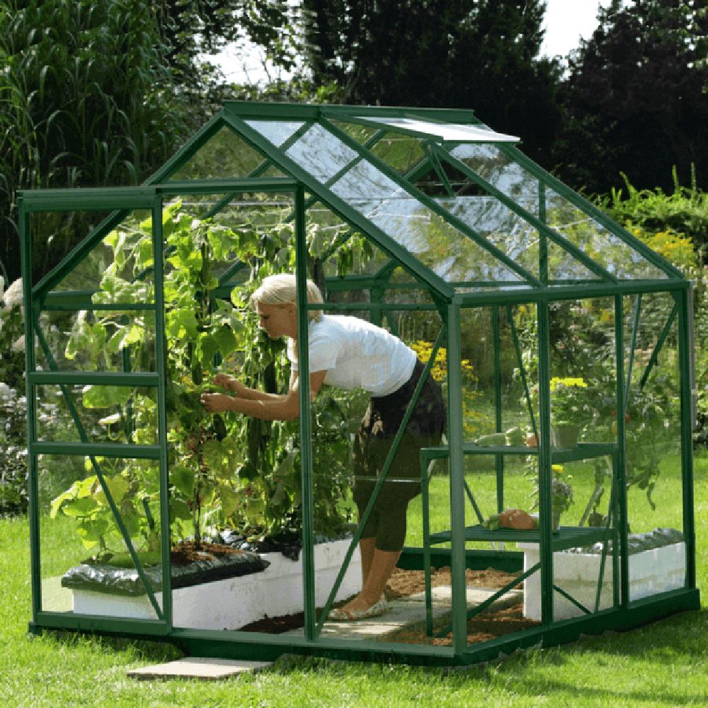 Venus 3800 6 x 6 Greenhouse - Green