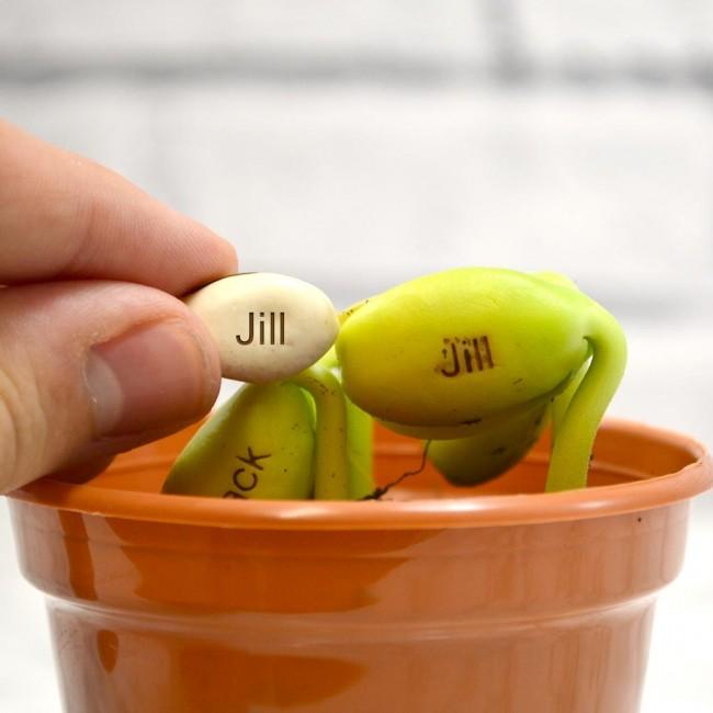 Personalised Grow Your Own Seeds With Message