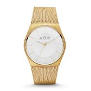 Watch strap Skagen SKW6069 Steel Gold Toned 28mm