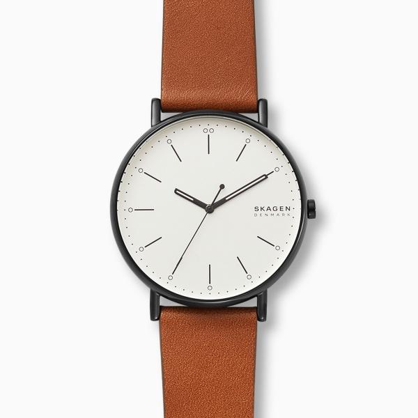 Watch strap Skagen SKW6550 Leather Brown 22mm